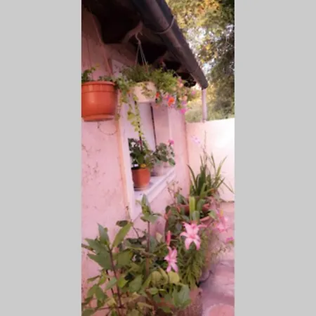 Vintage House Ermones Apartman